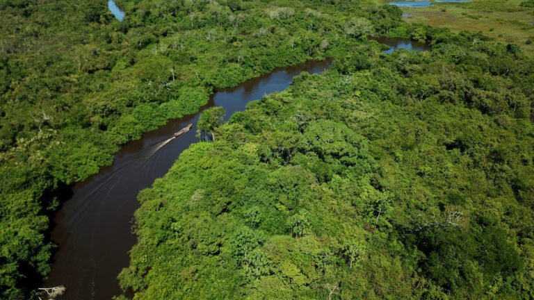 10 comunidades indígenas de la Amazonía llegan a la sede de gobierno para mostrar el éxito de sus emprendimientos en el MUSEF