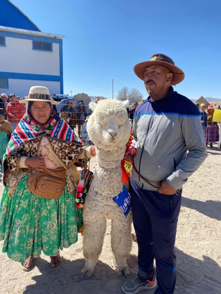 TURCO PREMIA A SUS MEJORES EJEMPLARES DE CAMÉLIDOS PARA FERIA DEPARTAMENTAL DE ORURO