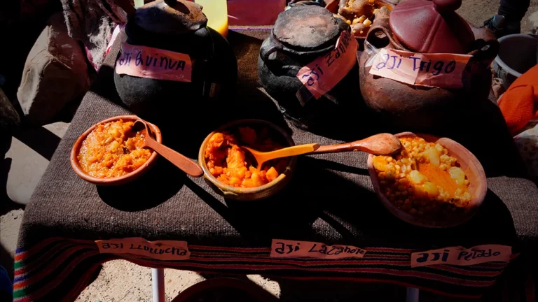 REALIZAN V FERIA DE ALFARERÍA, ARTESANÍA Y PLATOS TÍPICOS 2024 EN COMUNIDAD CANLLIRI AYLLU QULLANA