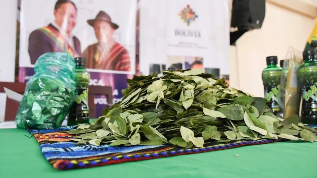 LANZARON LA CONMEMORACIÓN DEL DÍA NACIONAL DEL ACULLICO