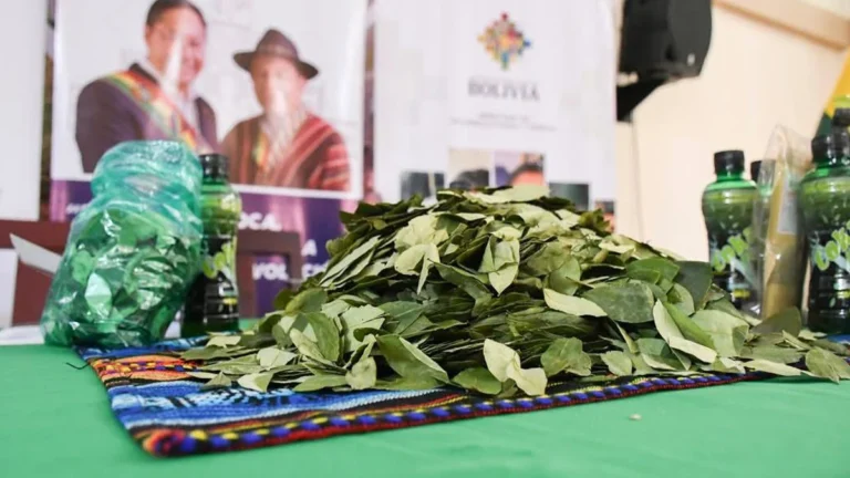 LANZARON LA CONMEMORACIÓN DEL DÍA NACIONAL DEL ACULLICO